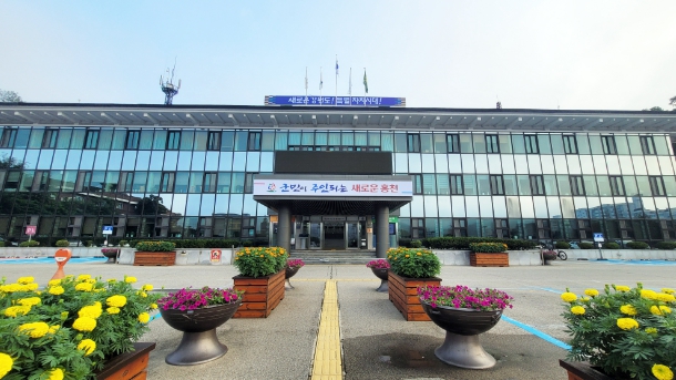 명품 홍천 찰옥수수 농가의 땀방울로 무럭무럭 기사 이미지